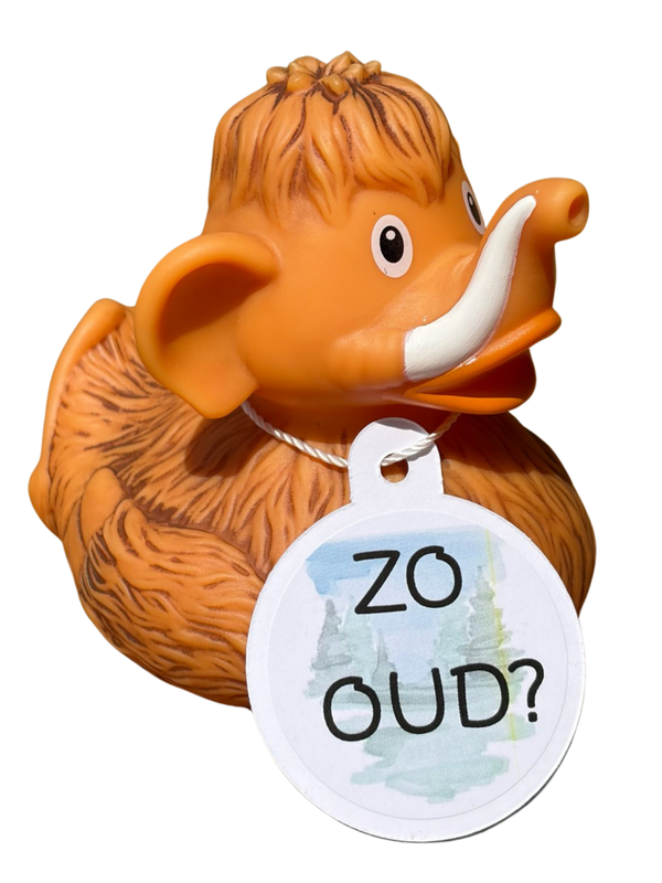 Badeend - Zo oud?