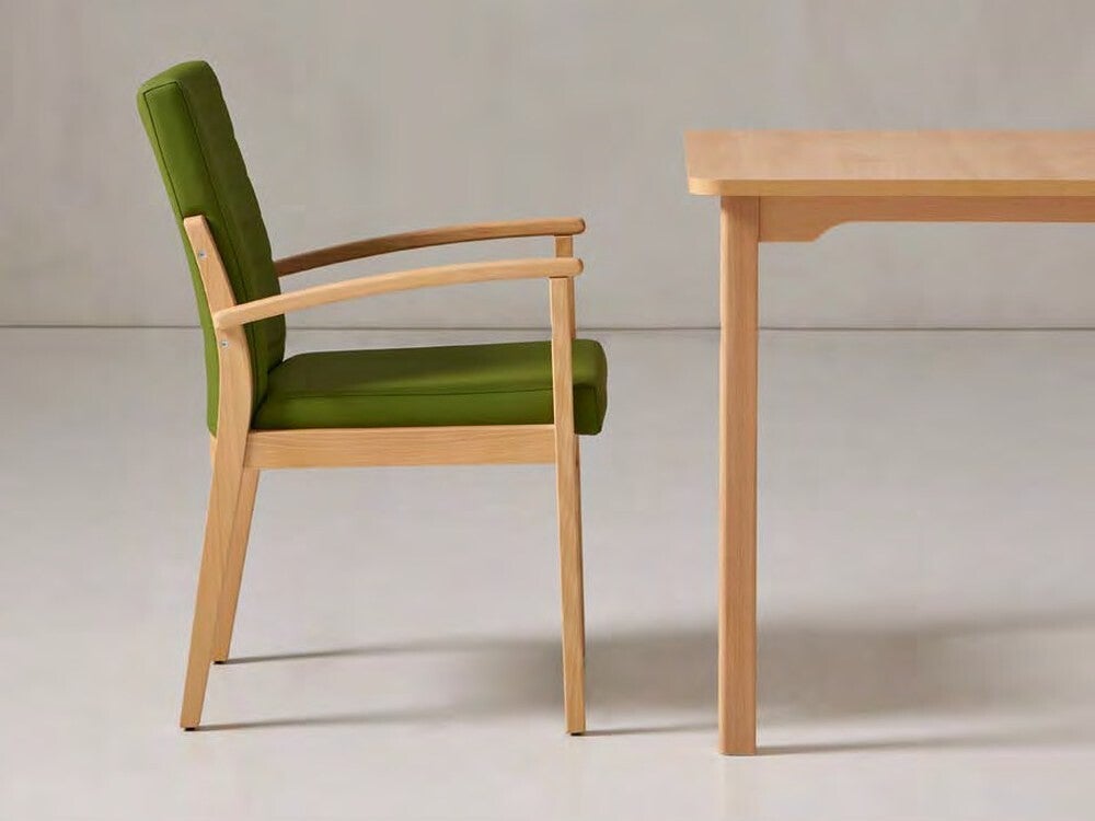 Fauteuil Seniorcare Aris pour EHPAD