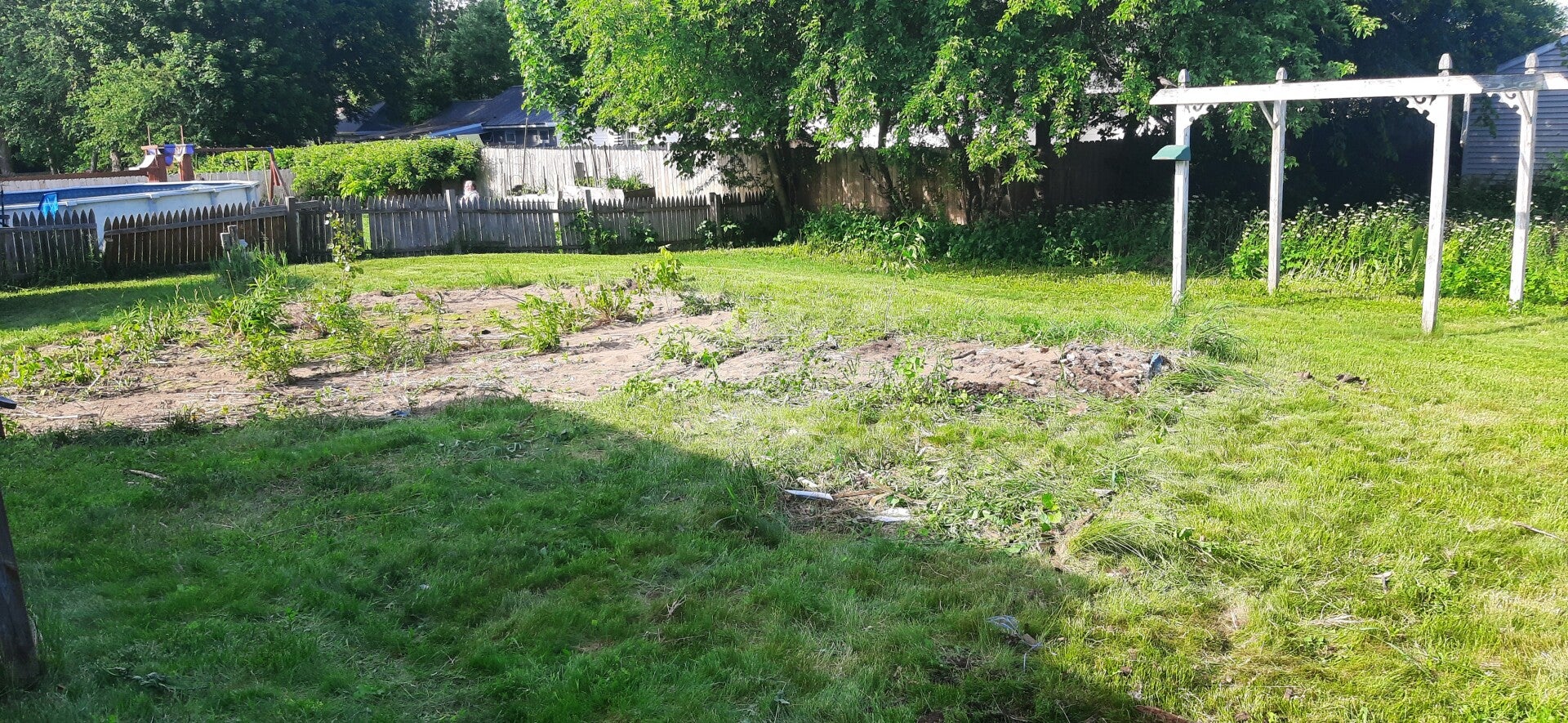 20260604_171536-standard.jpg