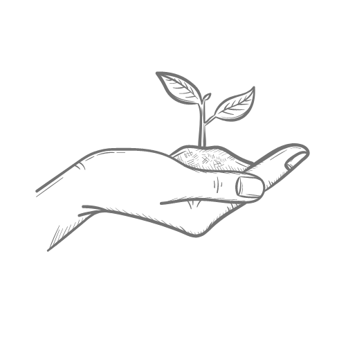 Handgetekend icoon van een hand met een klein plantje erin om aan te geven dat de LUS regenton duurzaam is. 