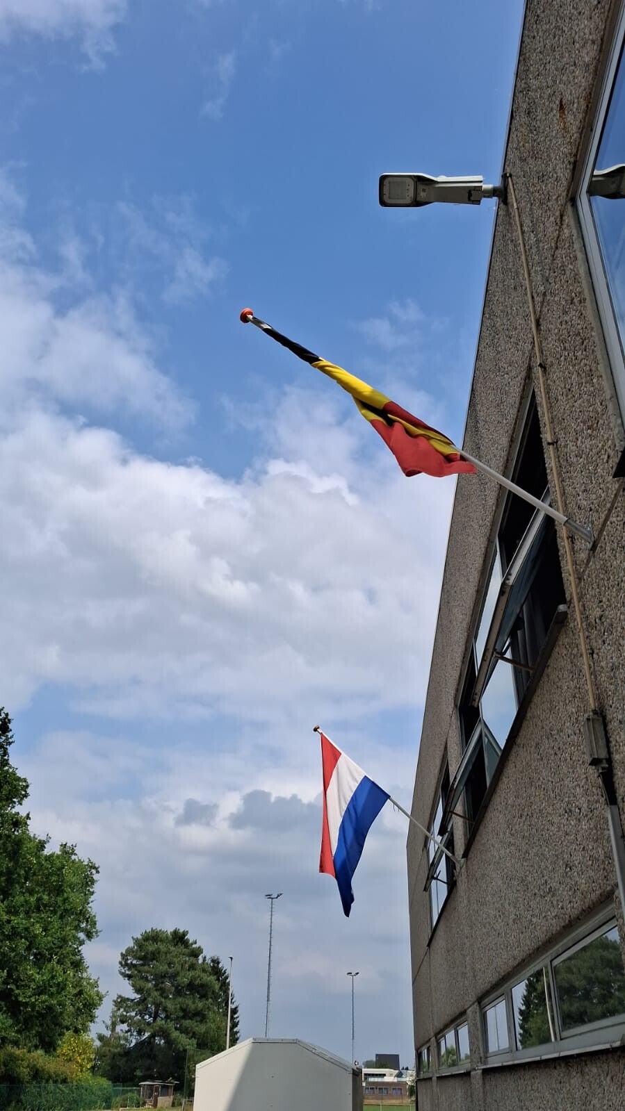 vlag-ned-belg-standard.jpg