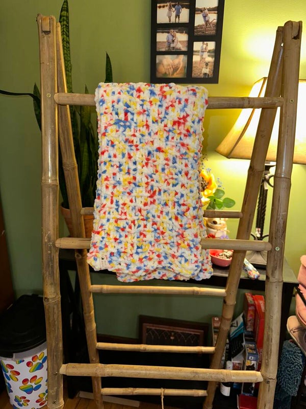 Pet Security Blanket- Primary Dot
