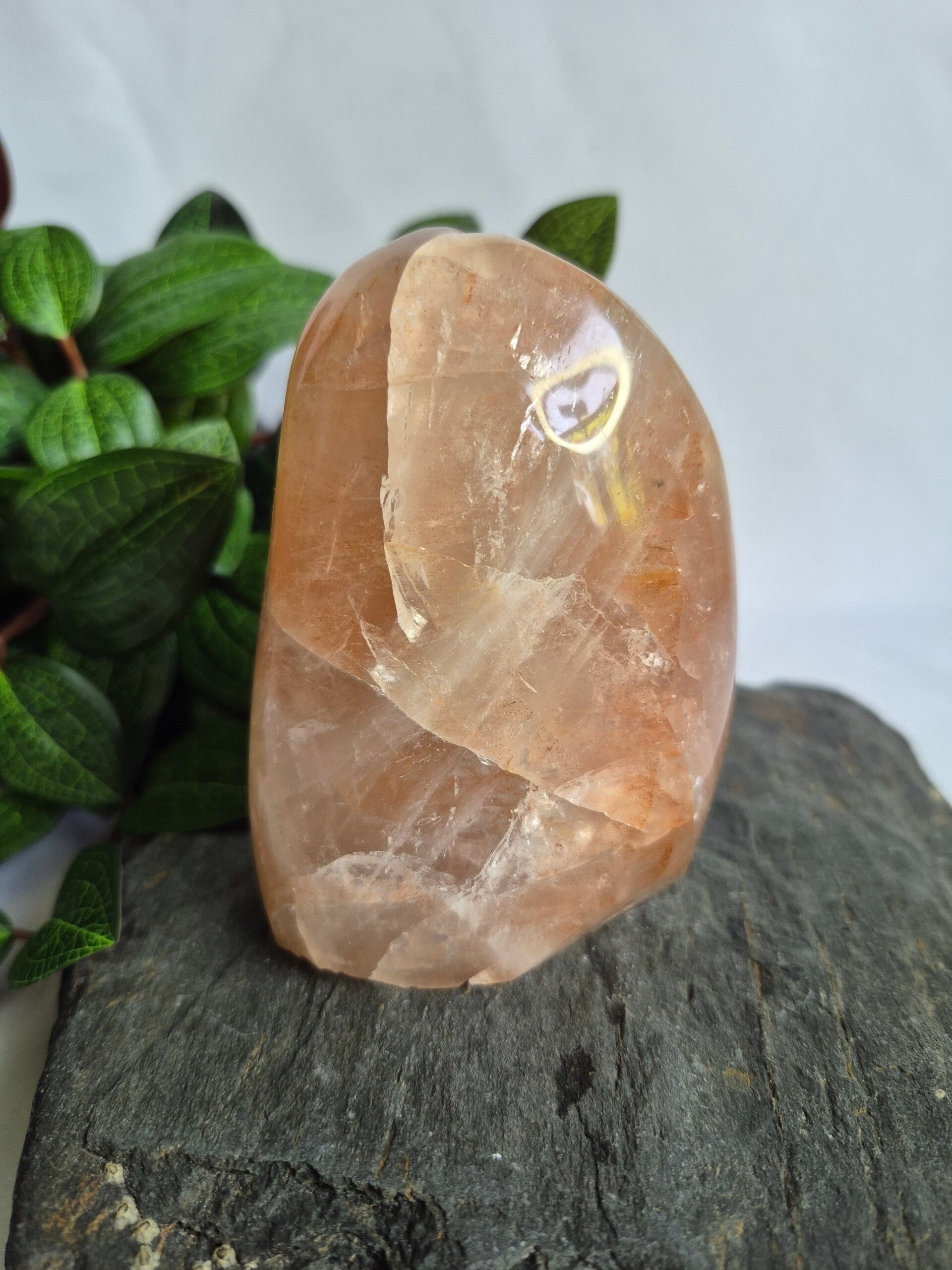 Red Healer half polished sculptuur