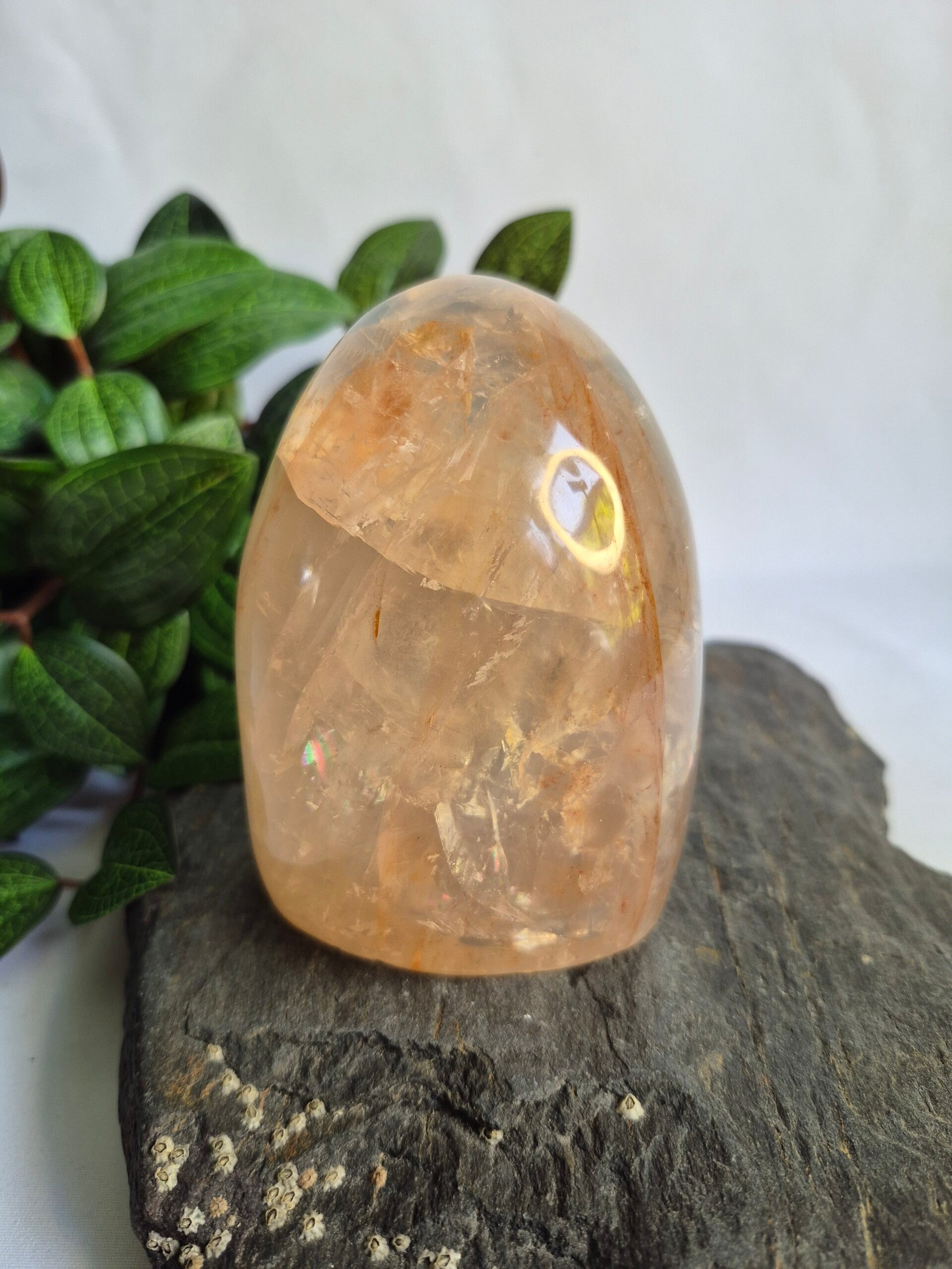 Red Healer half polished sculptuur medium