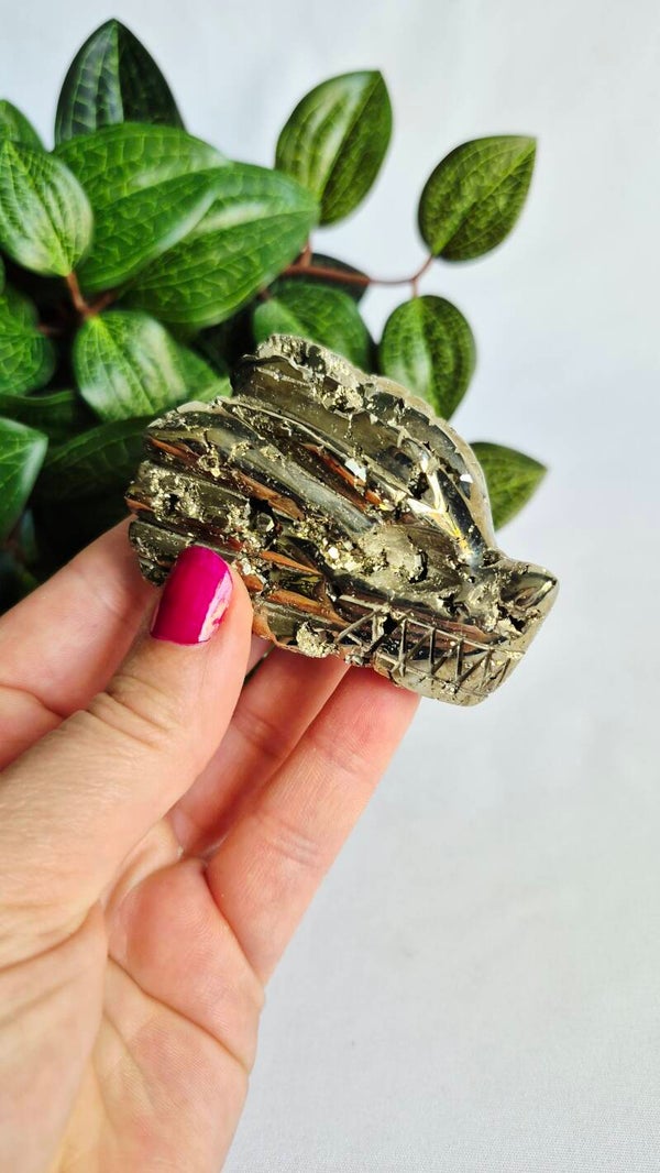 Pyriet draak breed