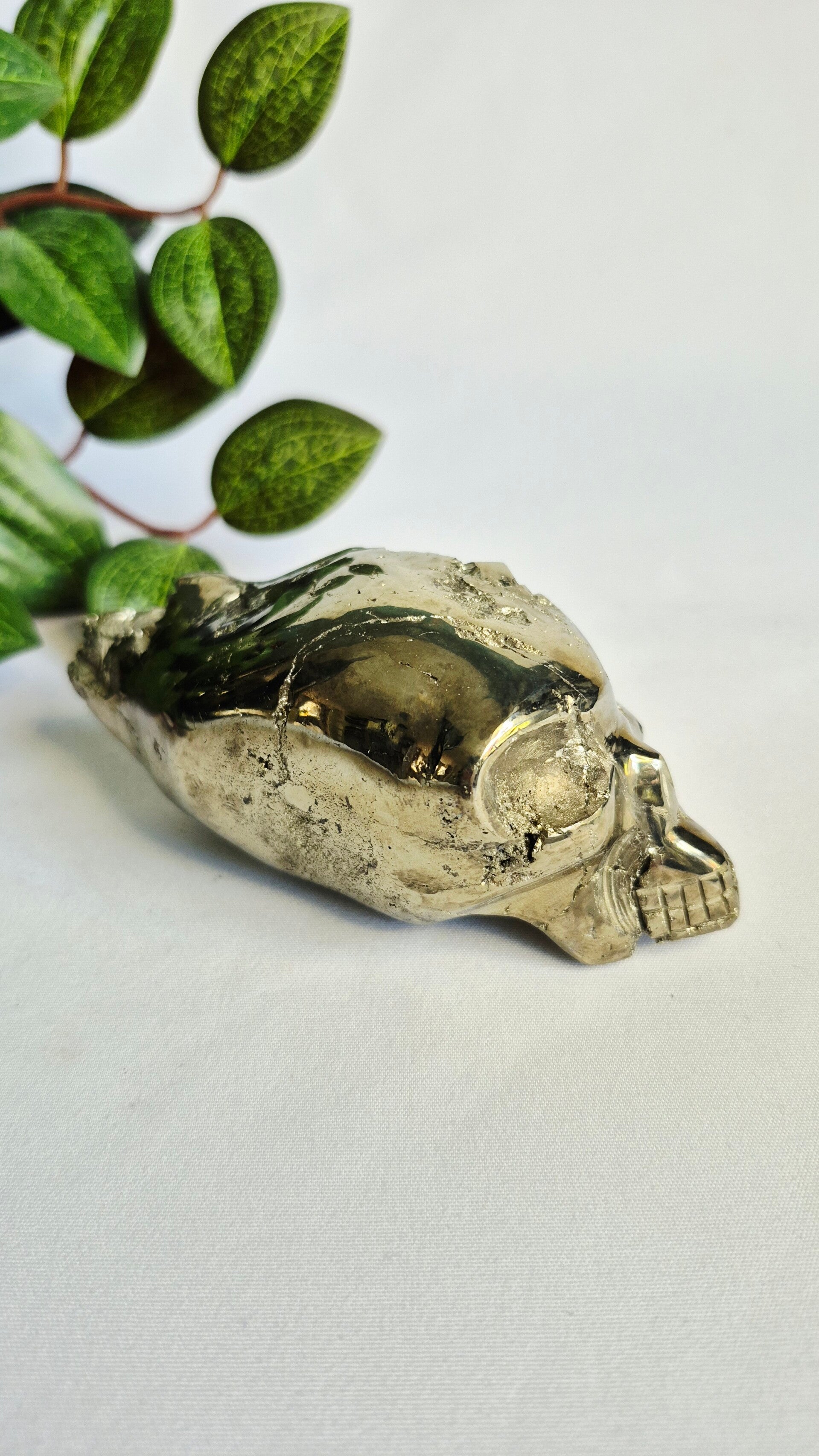 Pyriet alien skull