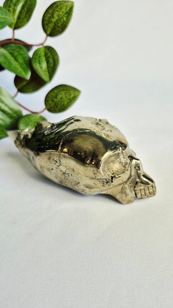Pyriet alien skull