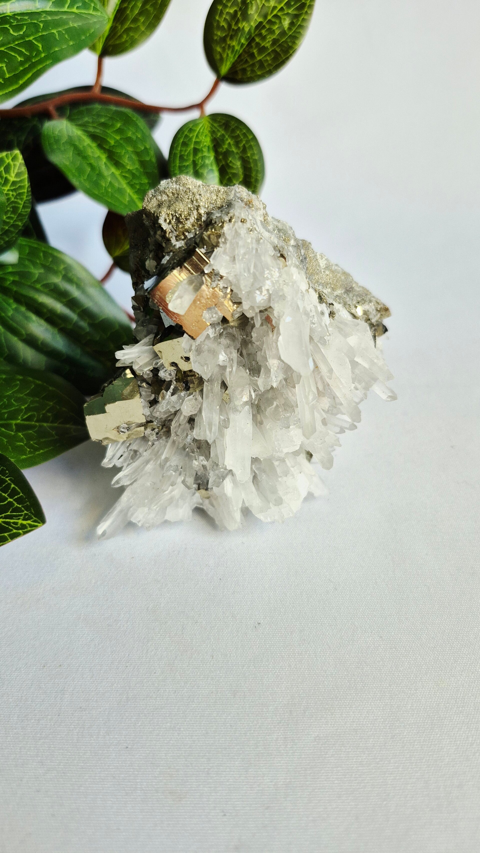 Pyriet met Quartz punten