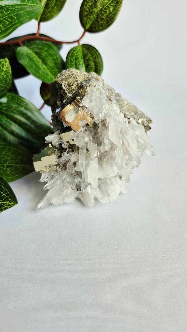 Pyriet met Quartz punten