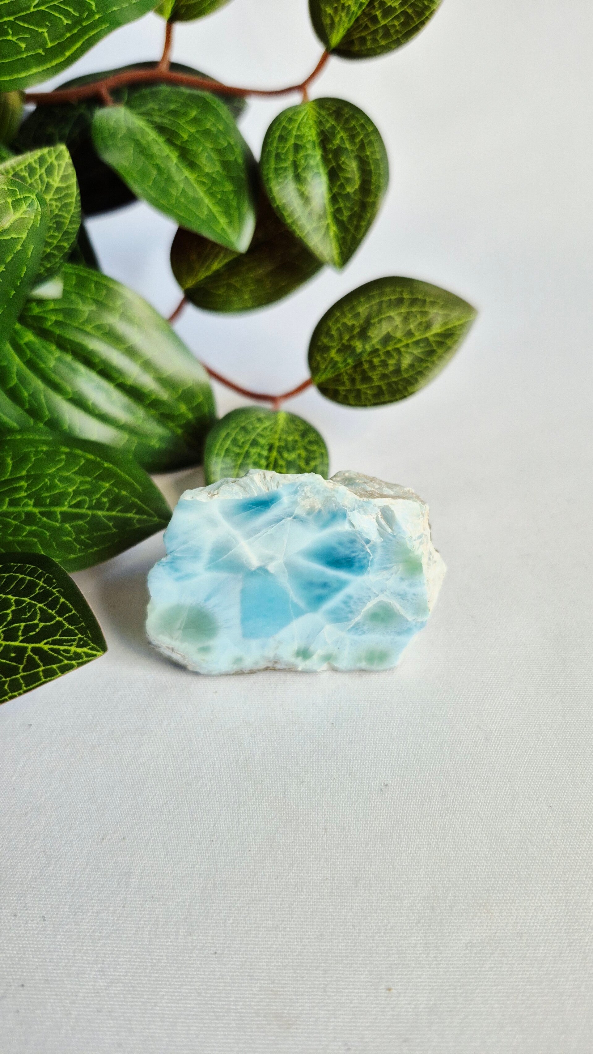 Larimar grootste