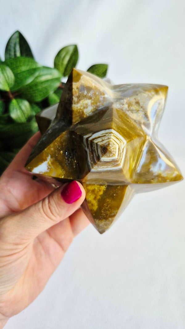 Oceaan Jaspis Ster-Dodecaëder (dubbele Merkaba) groot