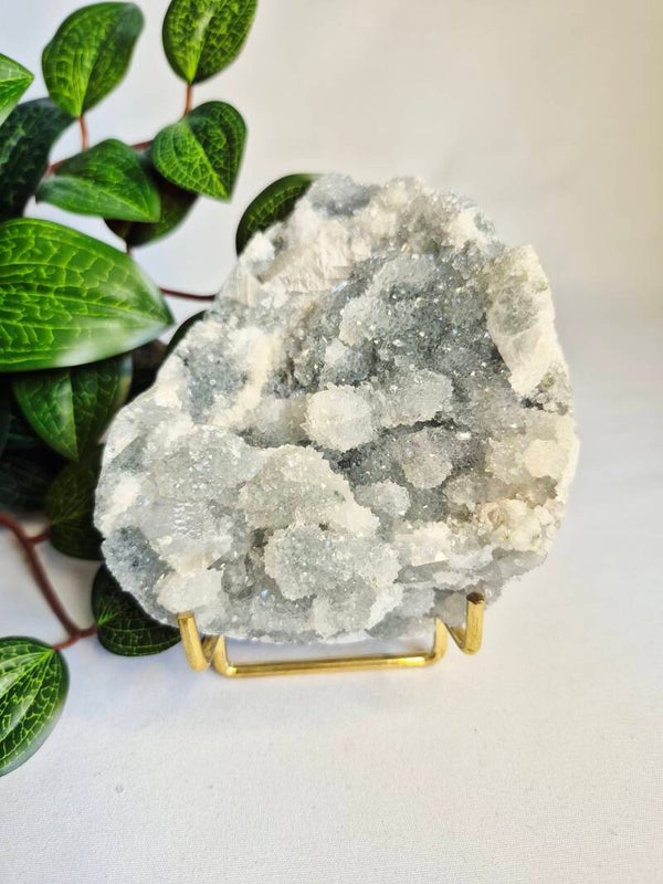 Zeoliet gekristalliseerd op standaard