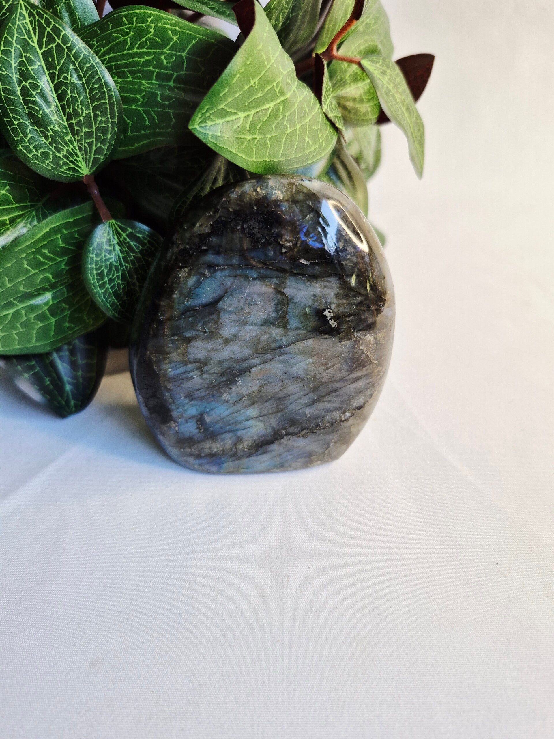 Labradoriet volledig gepolijst