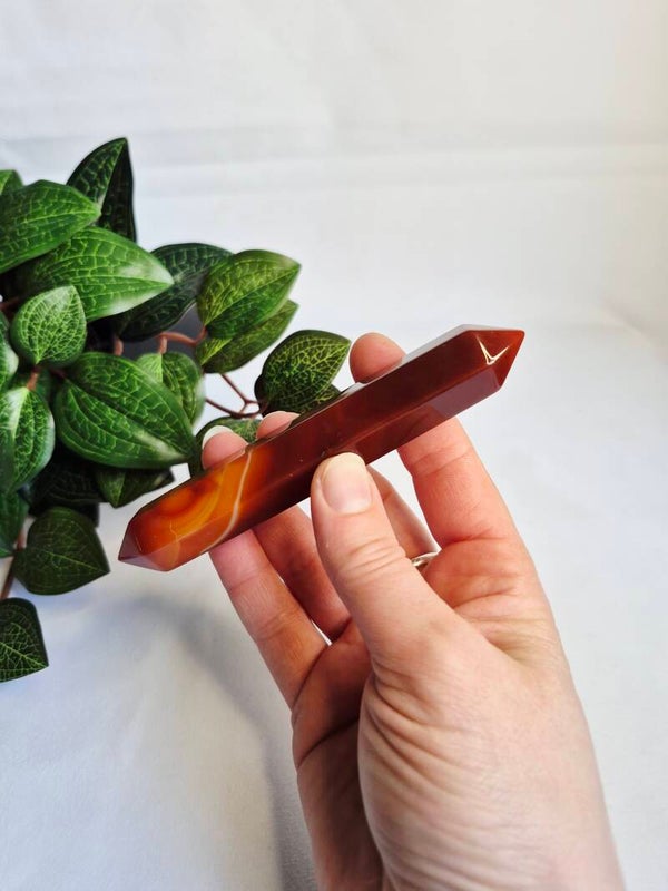 Carneool dubbeleinder