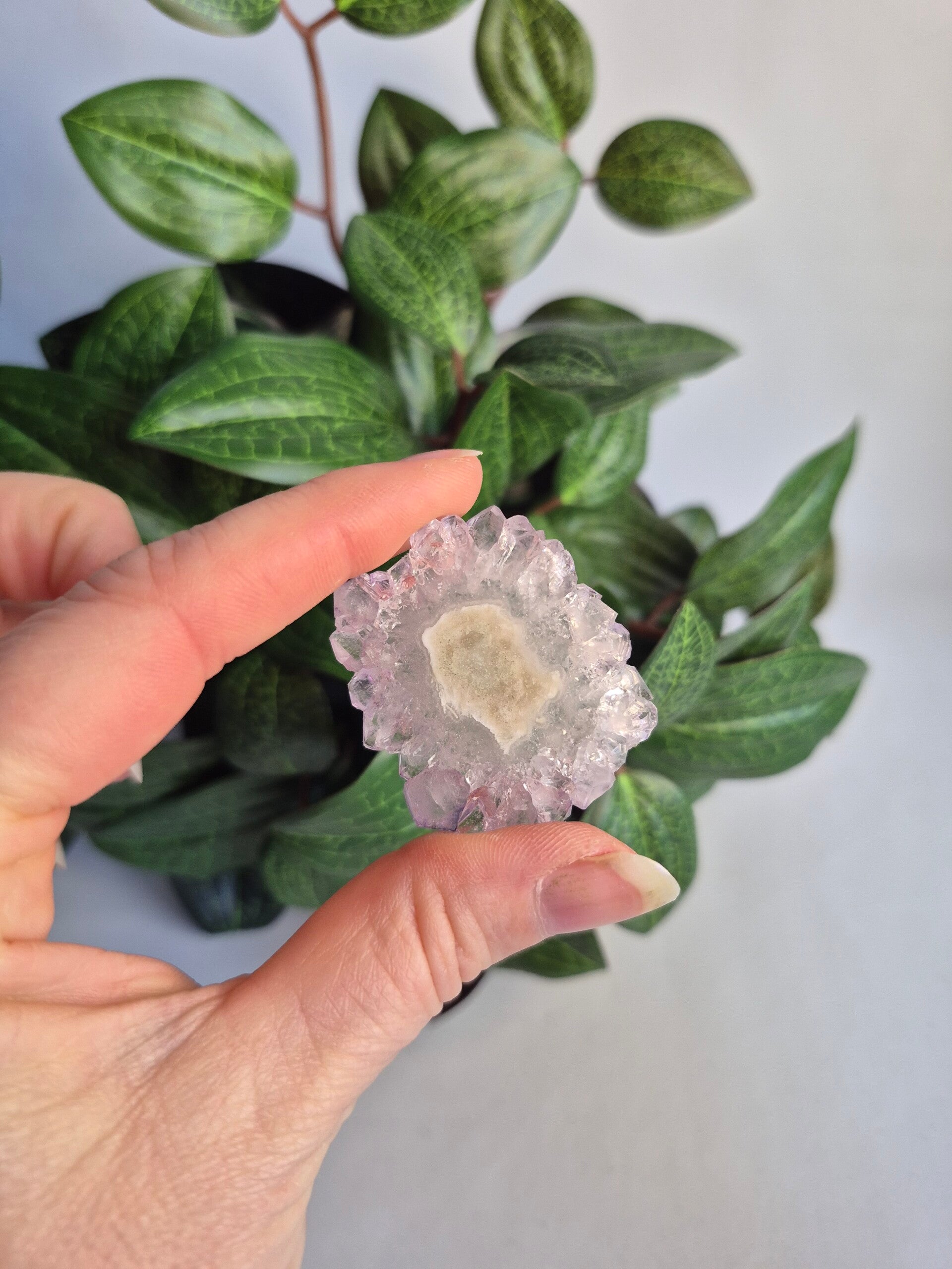 Amethist Stalactiet schijfje Lila