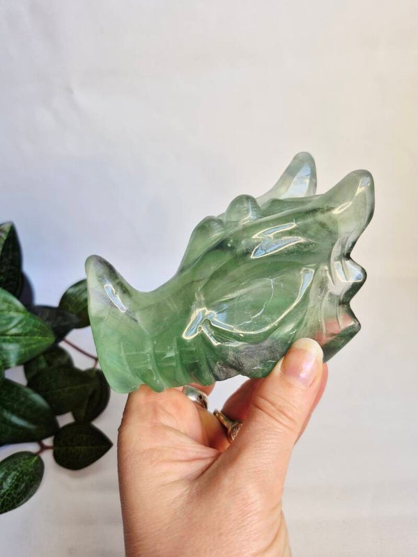 Fluoriet groen draak