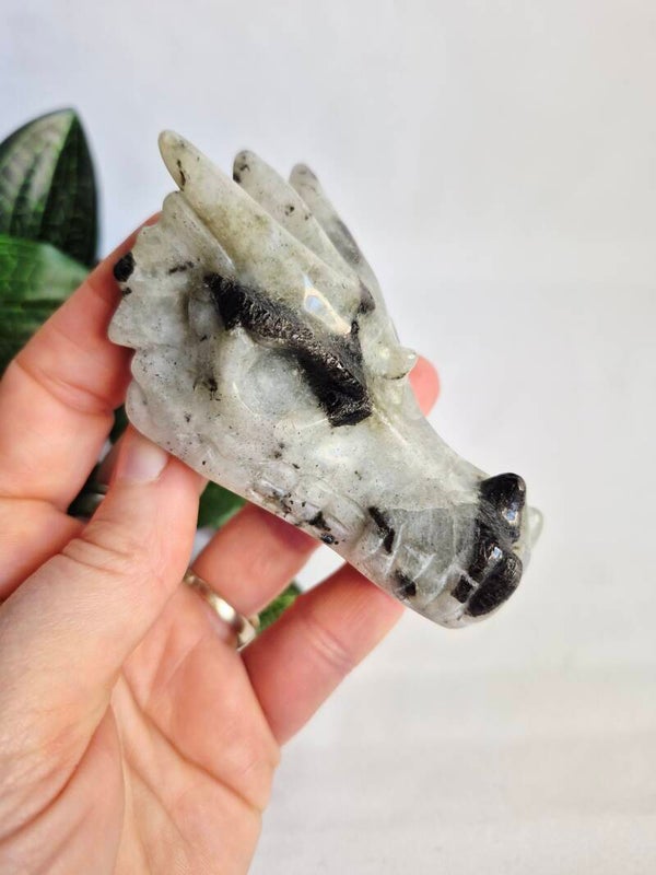 Labradoriet wit (Regenboogmaansteen) draak "Black nose"