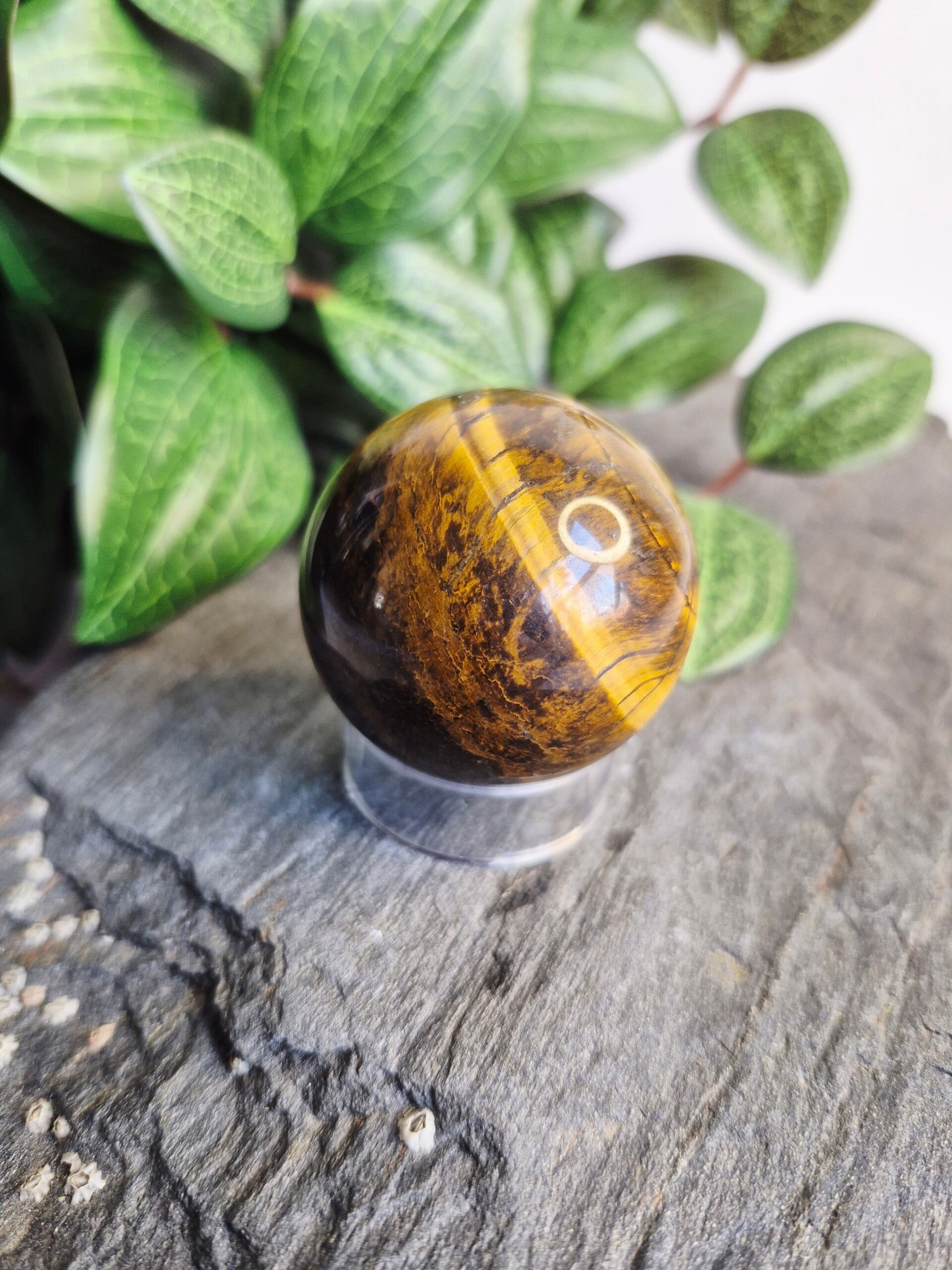 Tijgeroog bol op standaard klein