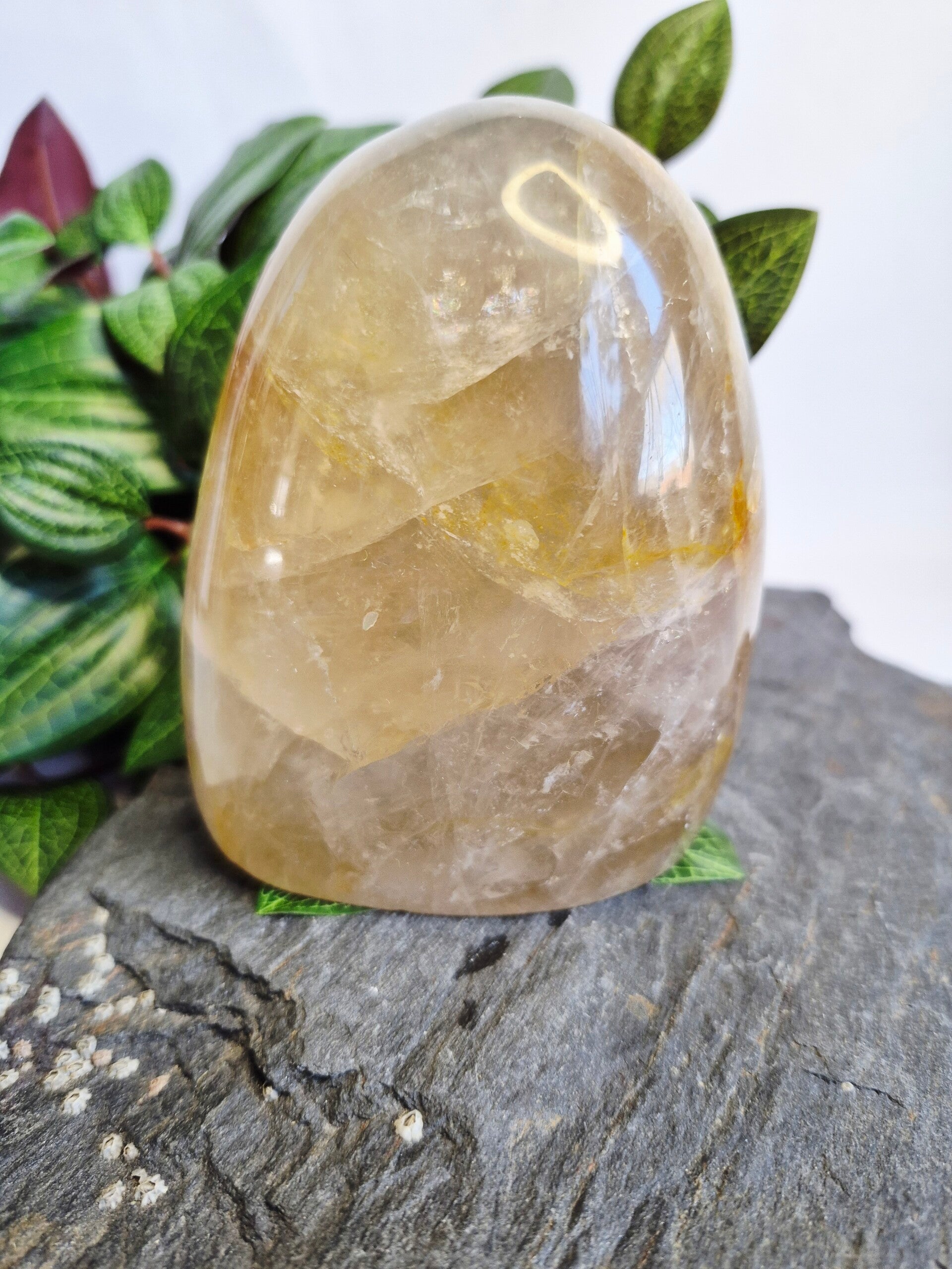 Golden Healer half polished small