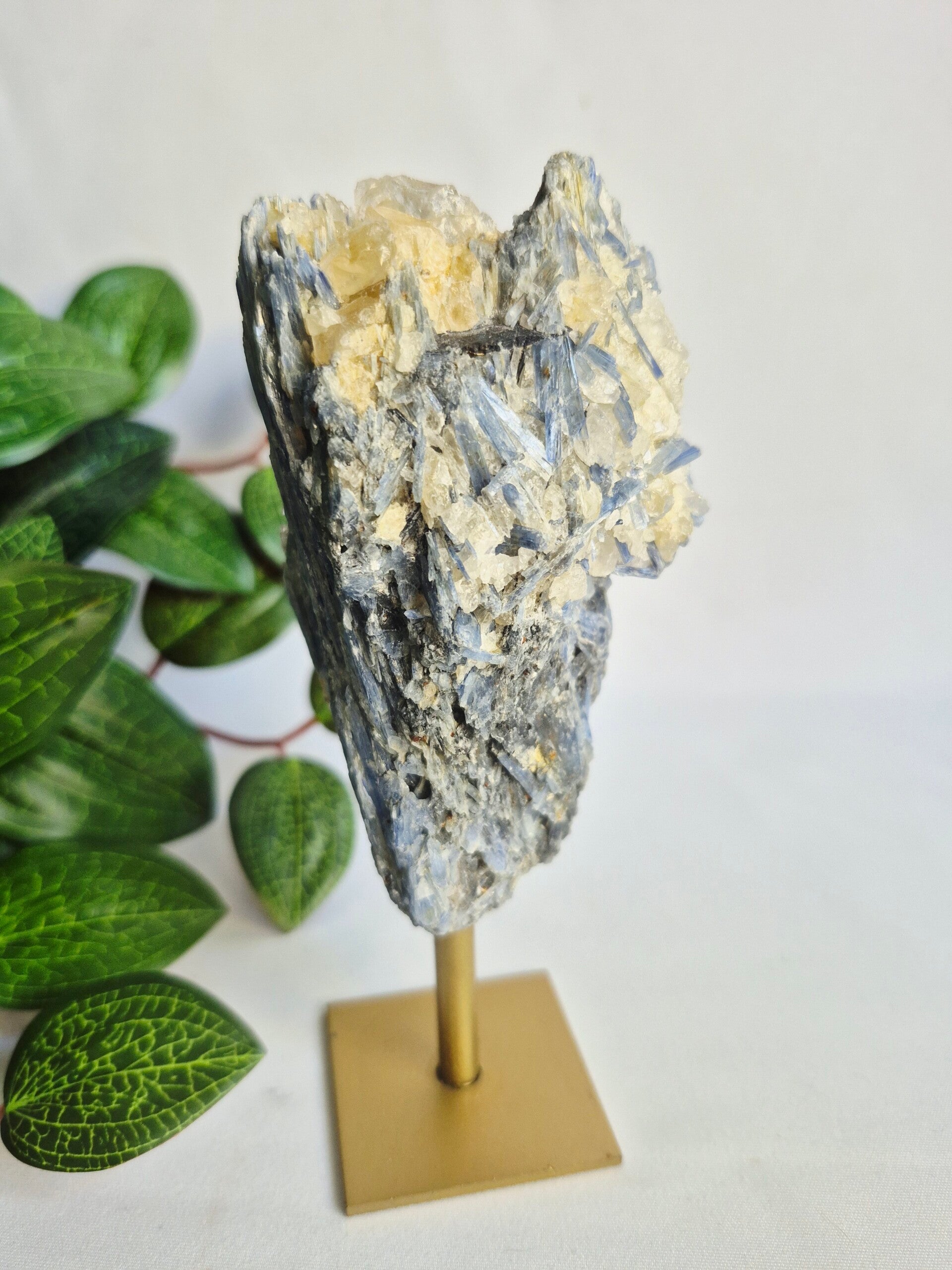 Kyaniet blauw met Calciet op gouden standaard