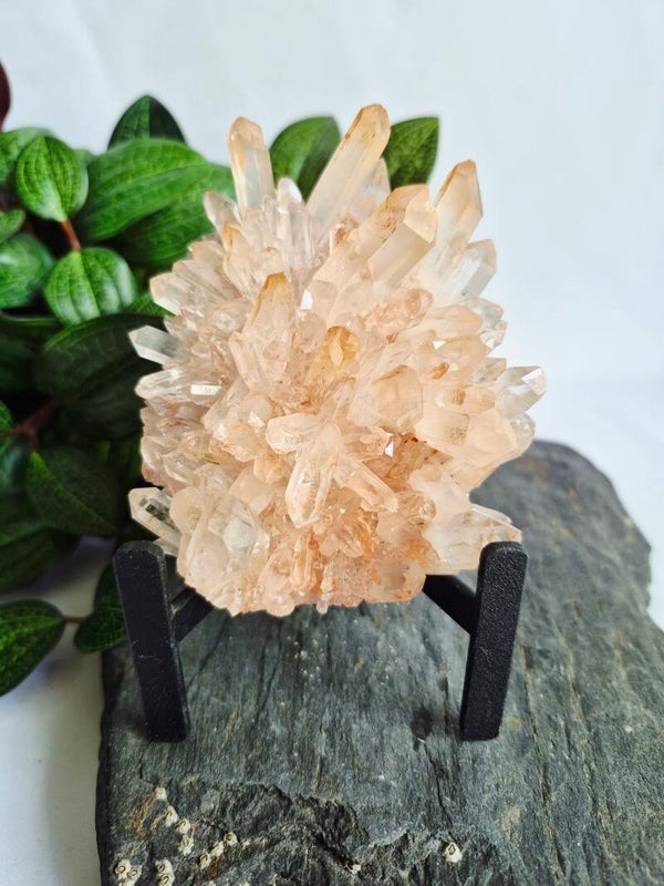 Bergkristal met pink Lithium op standaard