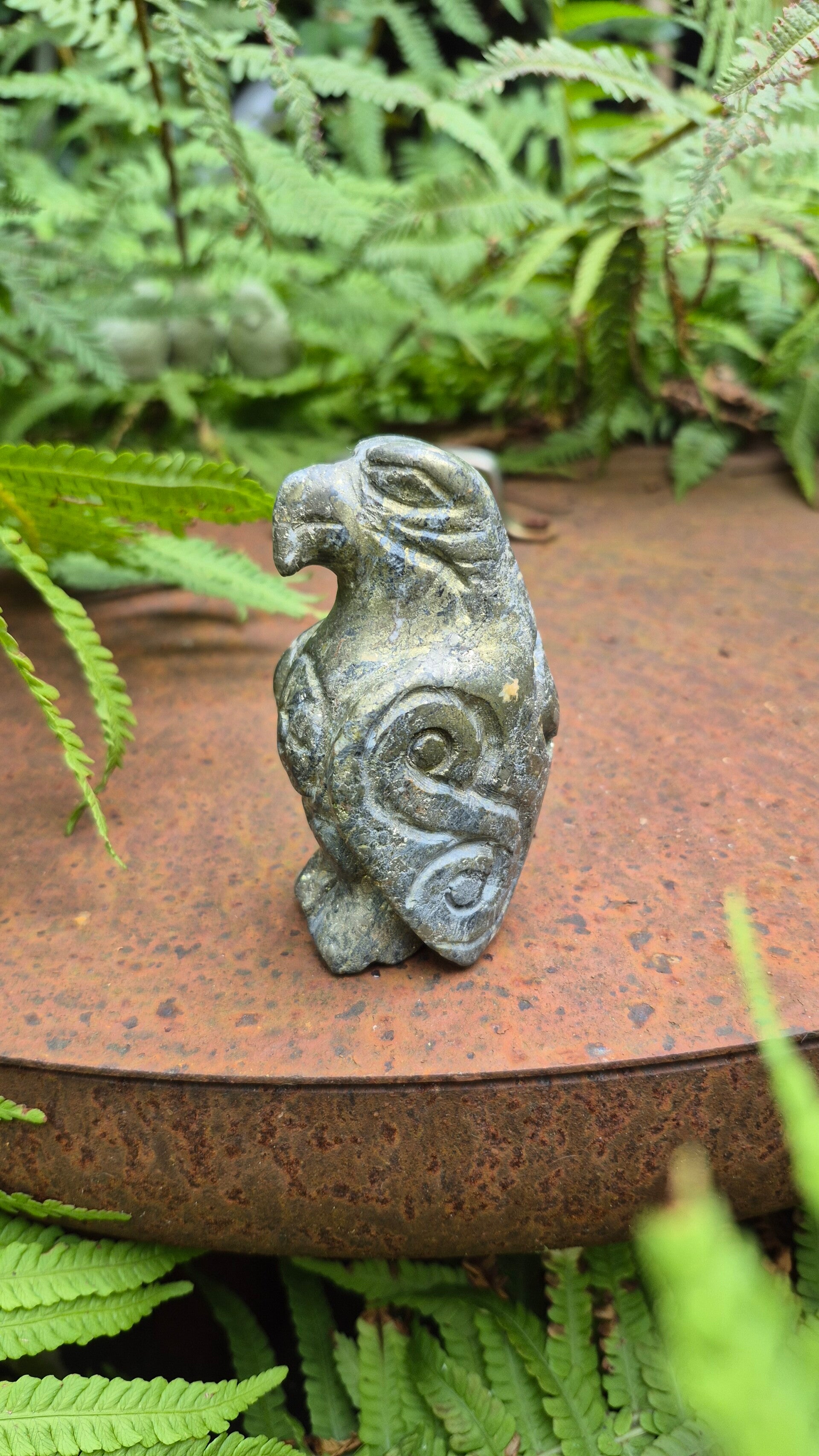 Pyriet Condor uit Peru