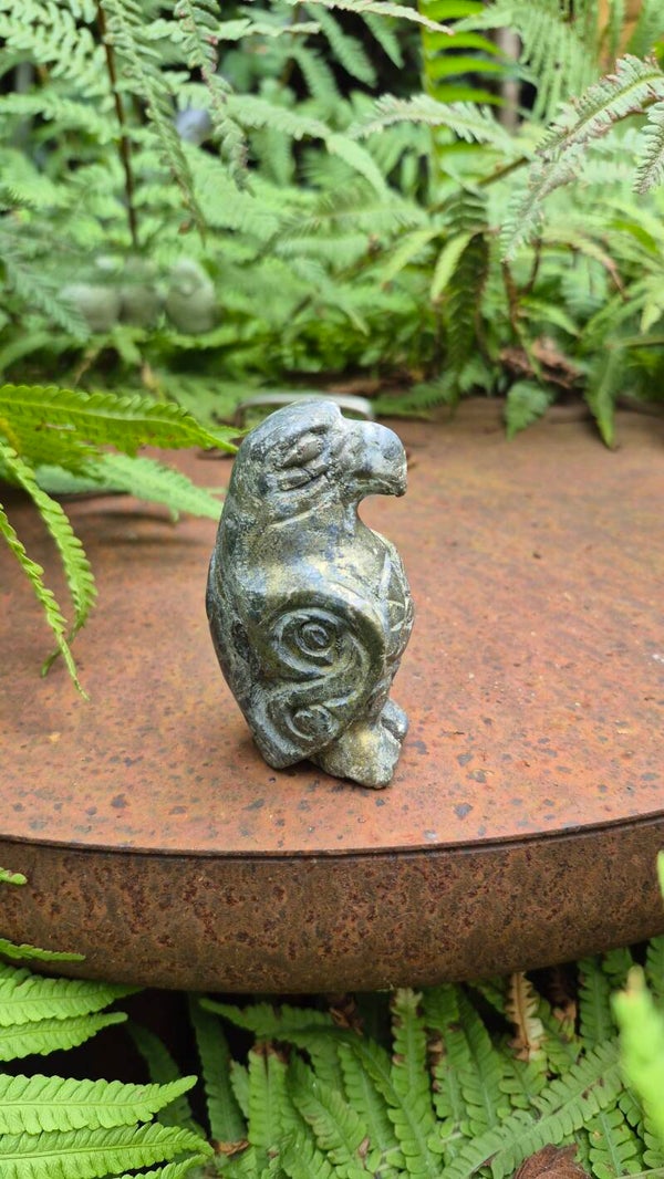 Pyriet Condor uit Peru