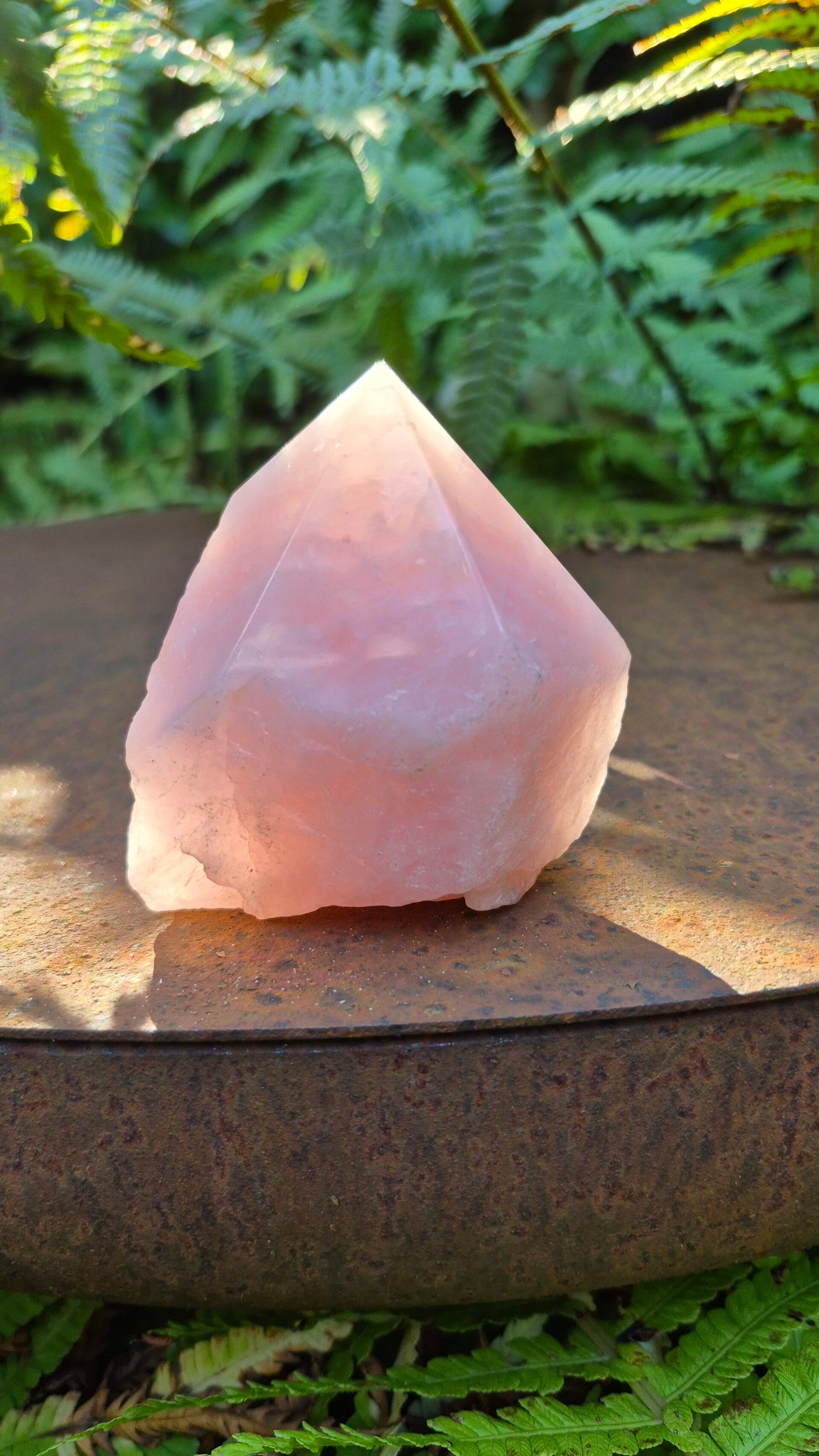 Rozenkwarts punt
