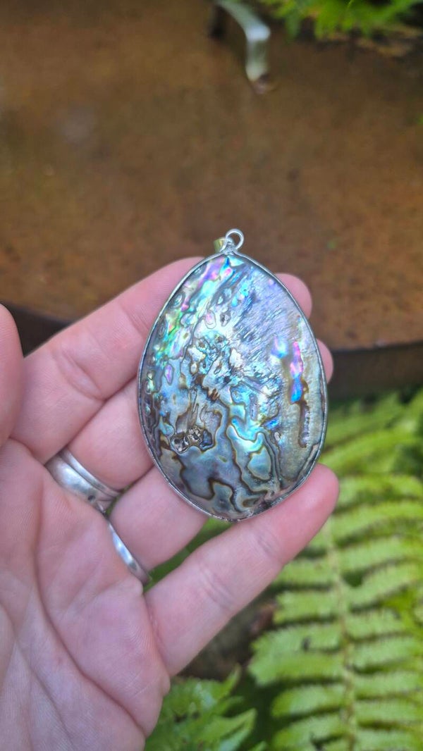 Abalone of Paua schelp hanger