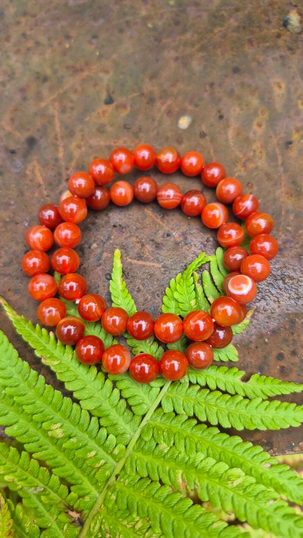 Carneool armband
