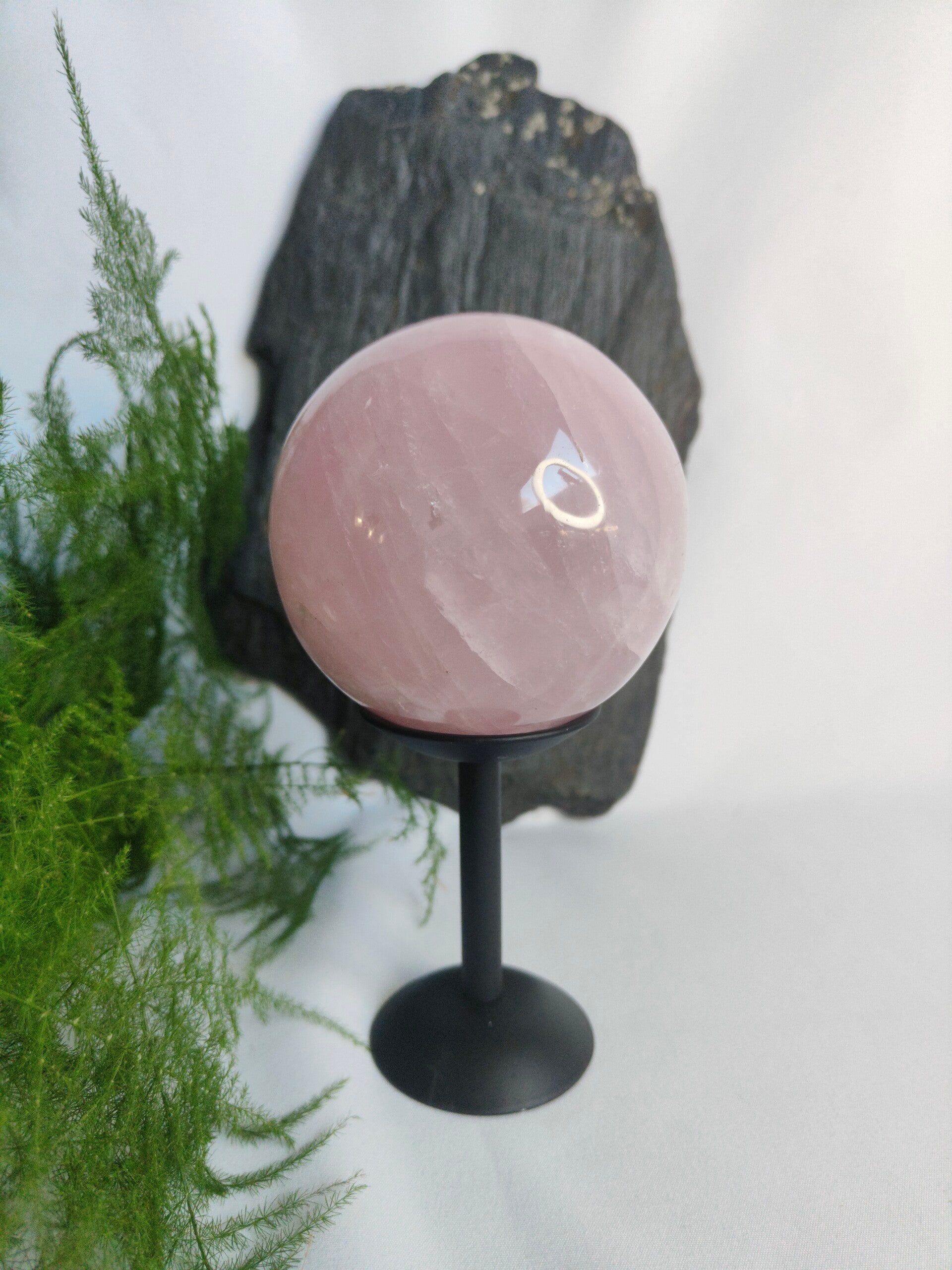 Rozenkwarts bol op standaard groot