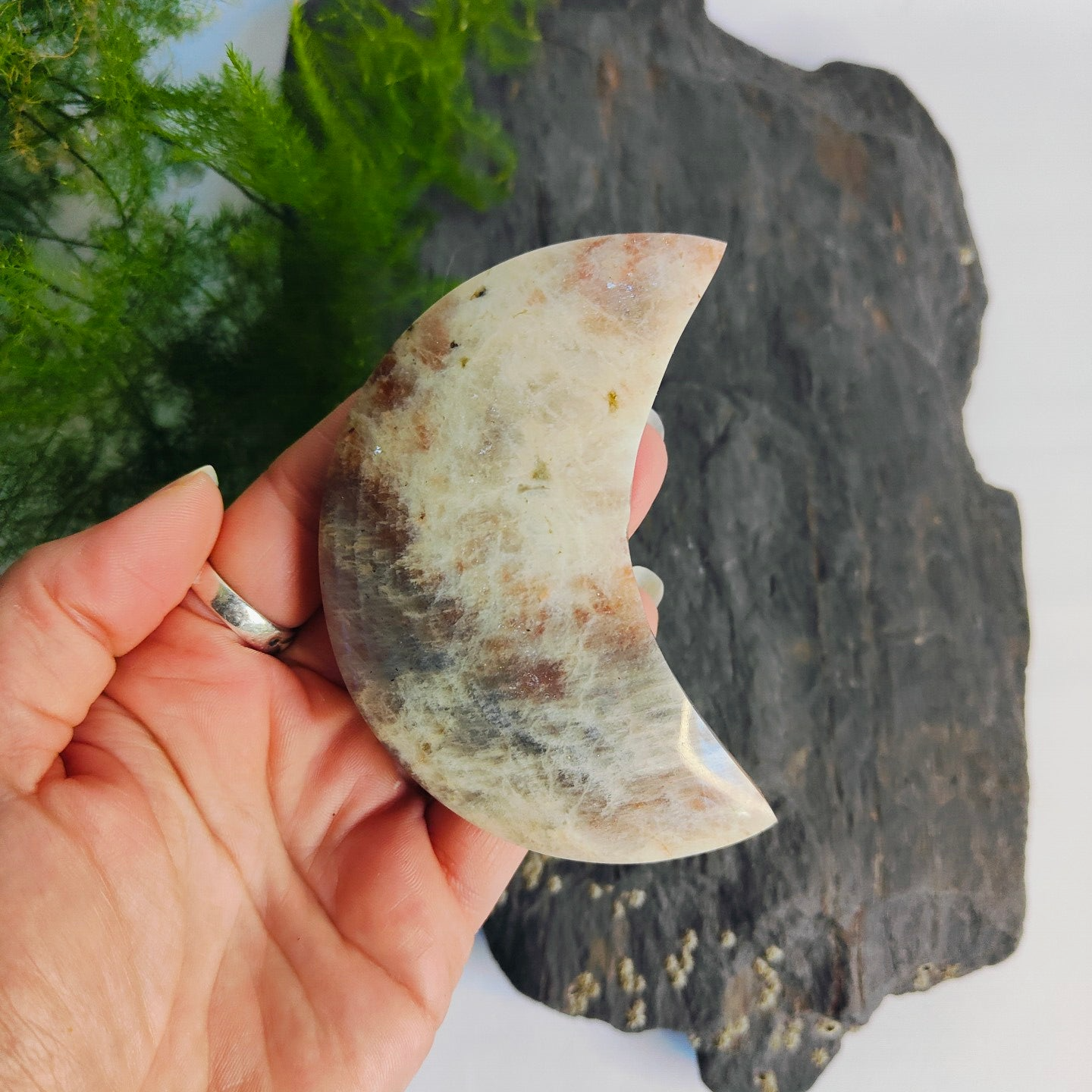 Maansteen abrikoos maan groot