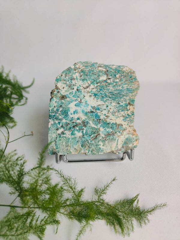 Amazoniet schijf op standaard