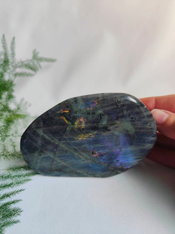 Labradoriet Paars langwerpig