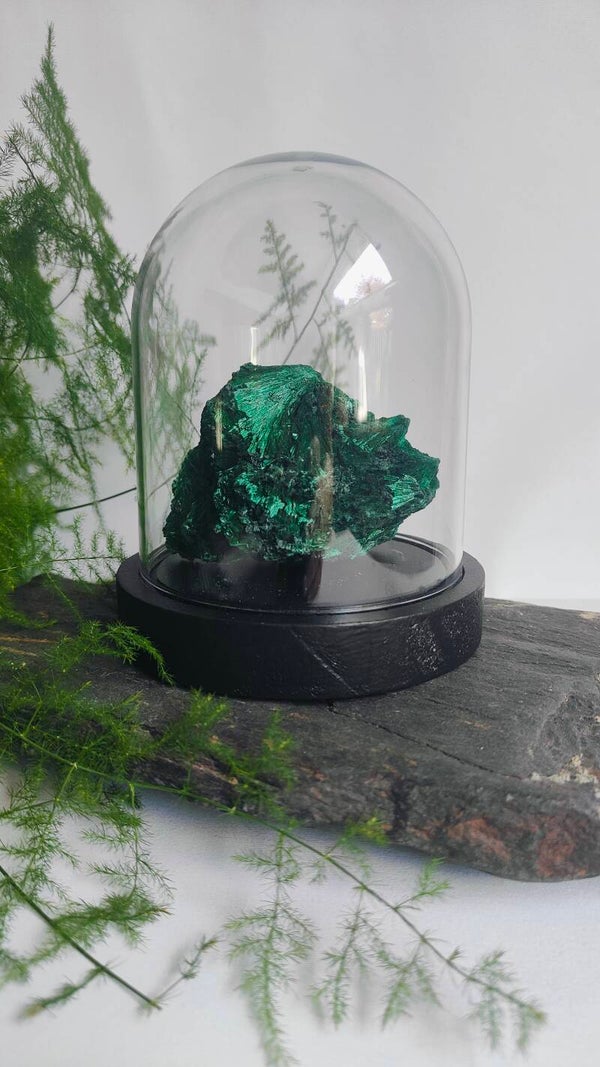 Malachiet ruw fluweel in stolp