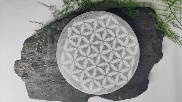 Seleniet schijf doorsnede 10 cm "Levensbloem"