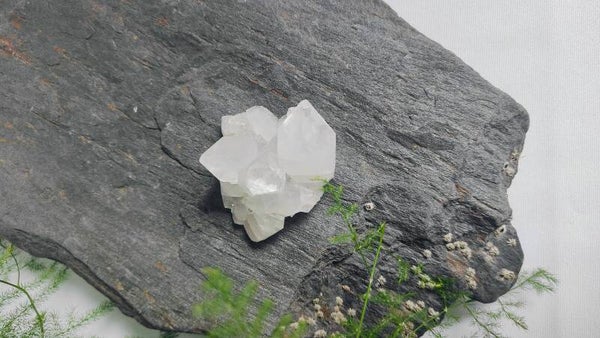 Apofyliet "Big Rock"