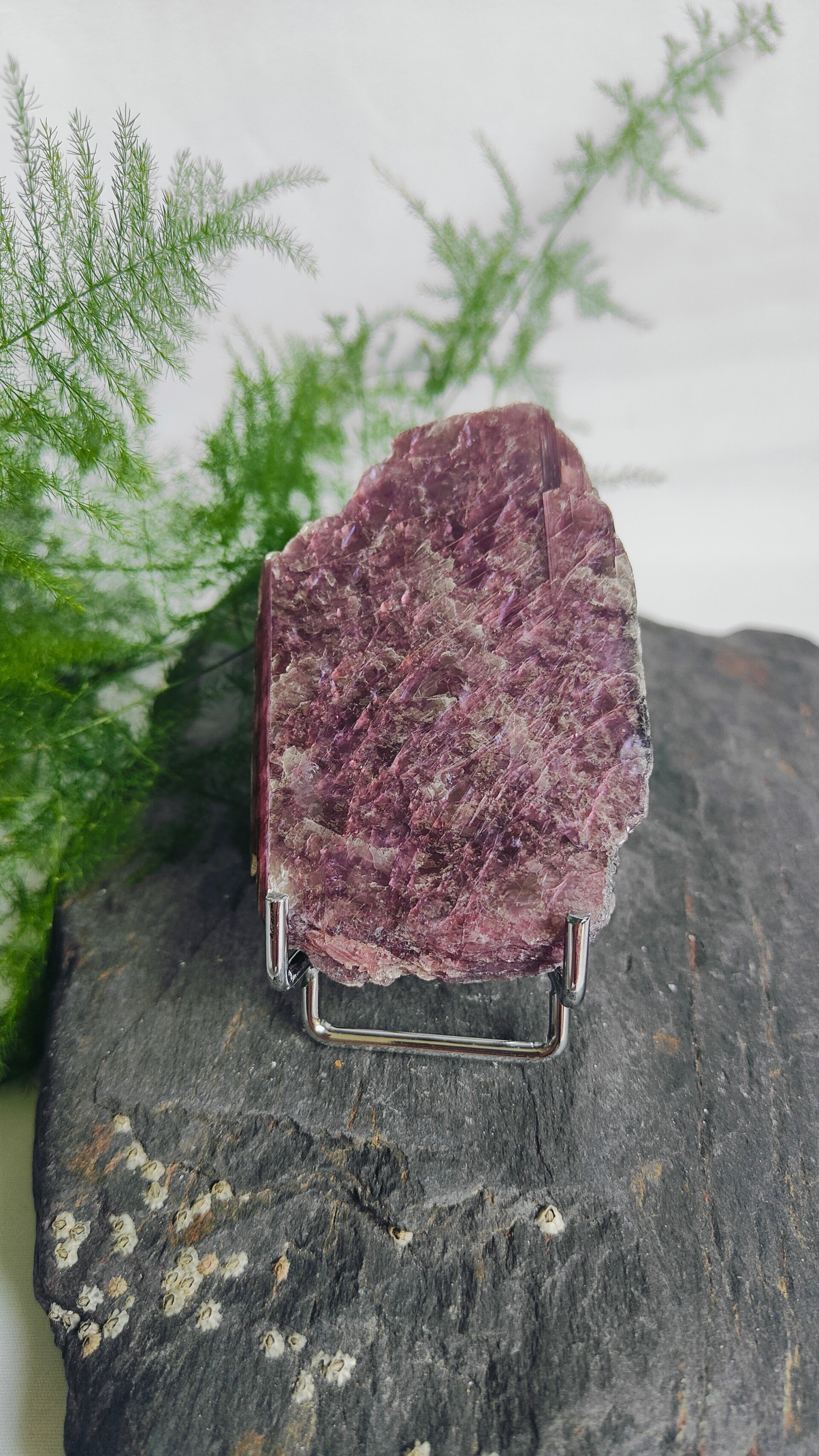 Lepidoliet op standaard