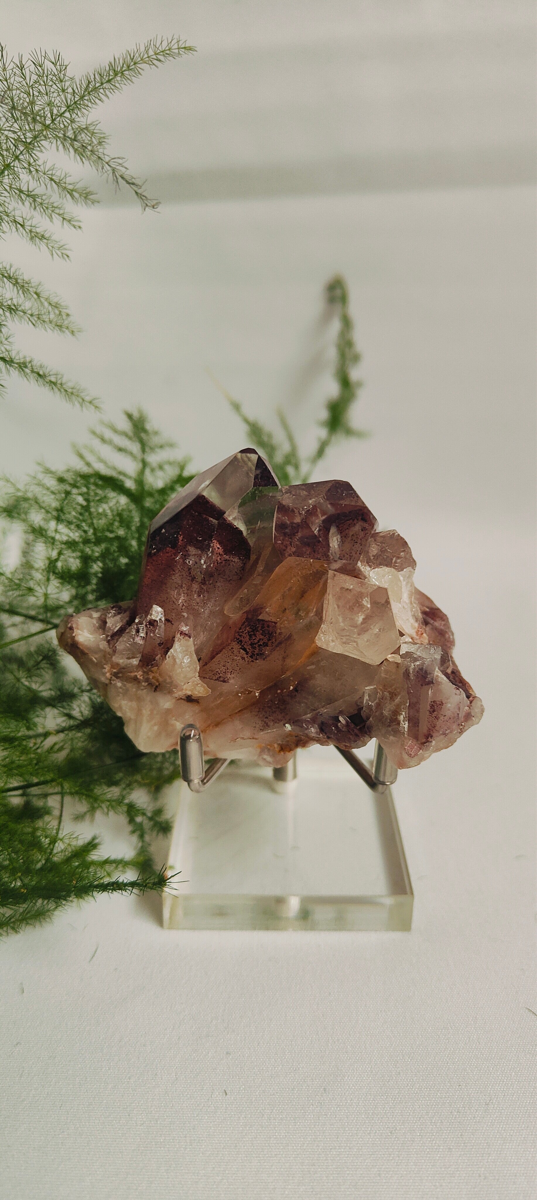 Fantoomkwarts op standaard