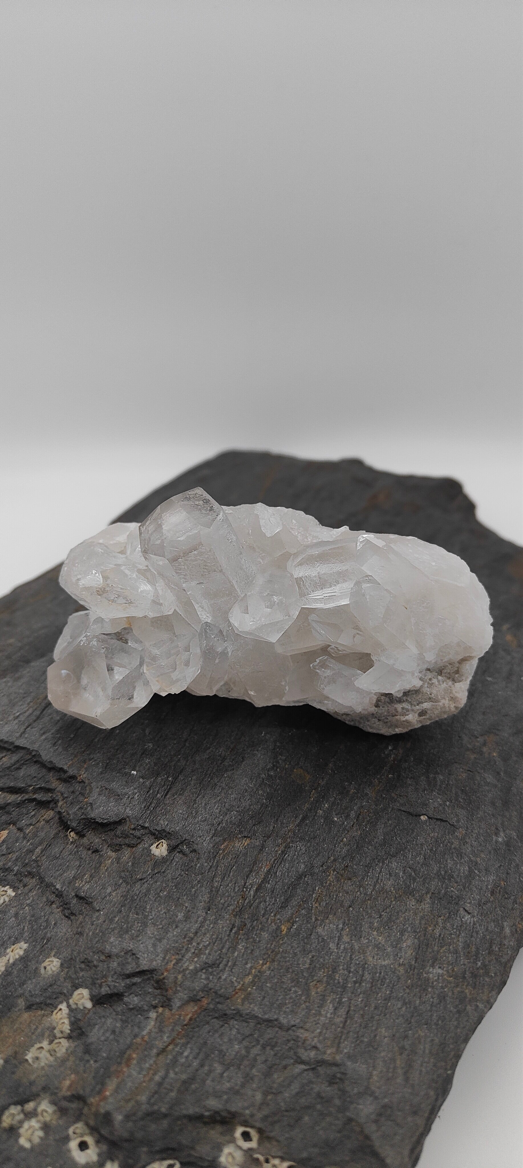 Bergkristal cluster "Point"