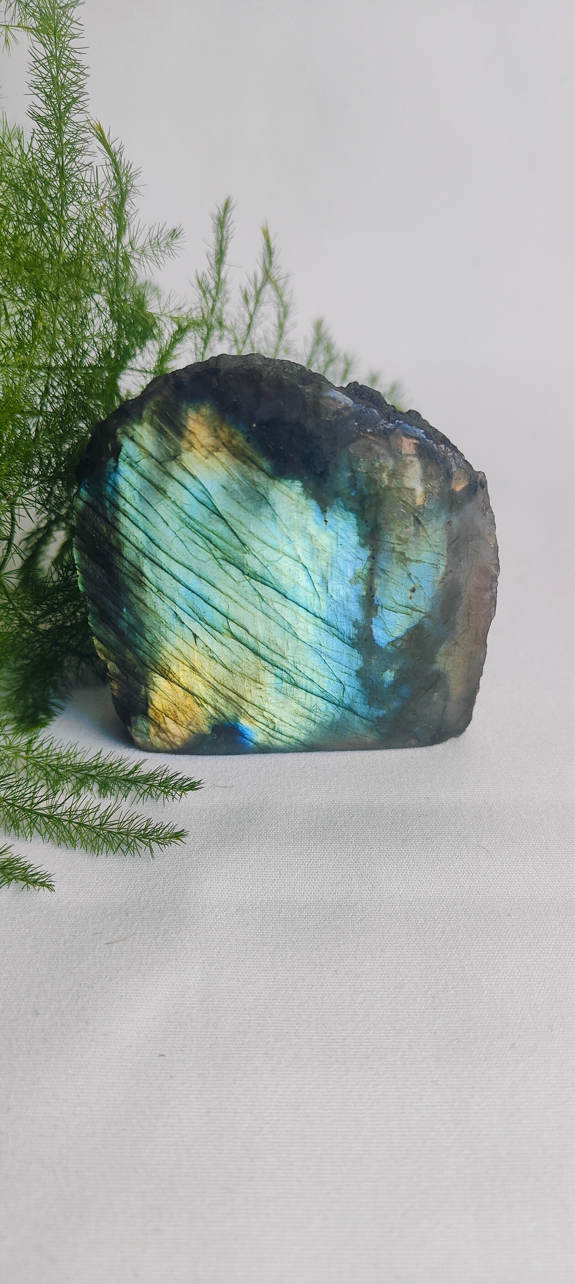 Labradoriet half polished groot