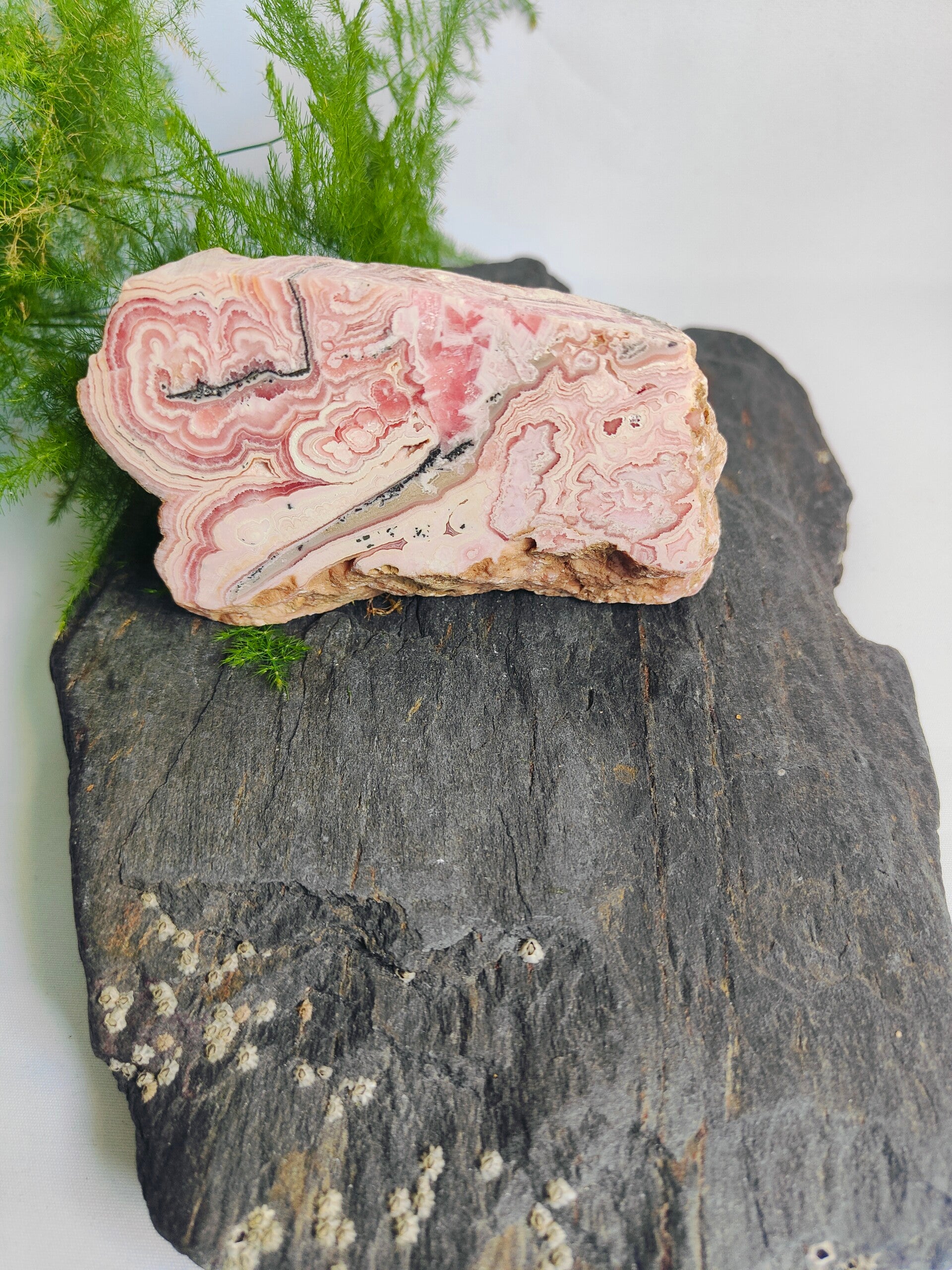 Rhodochrosiet op standvlak