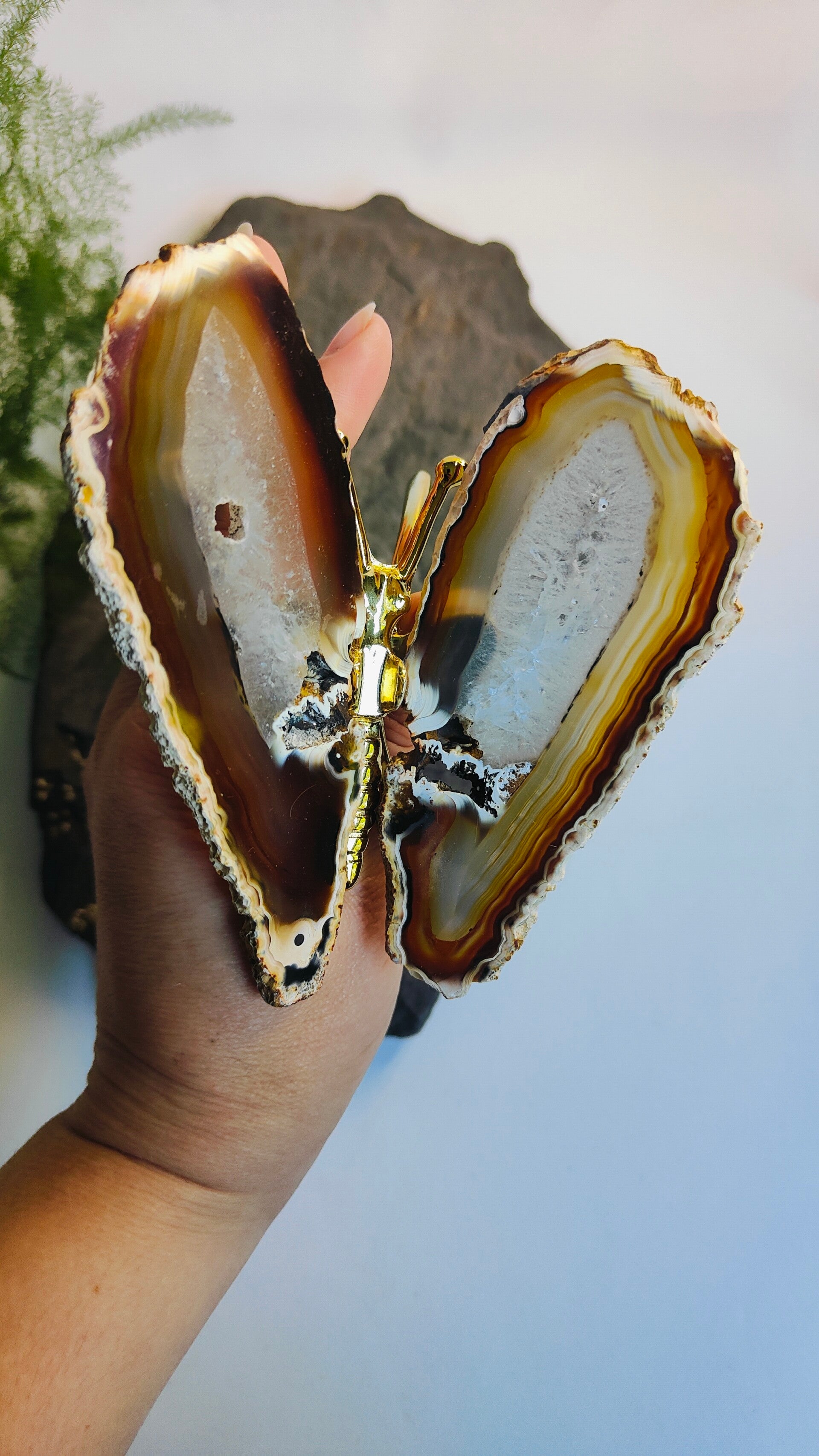 Agaat vlinder "Violette"