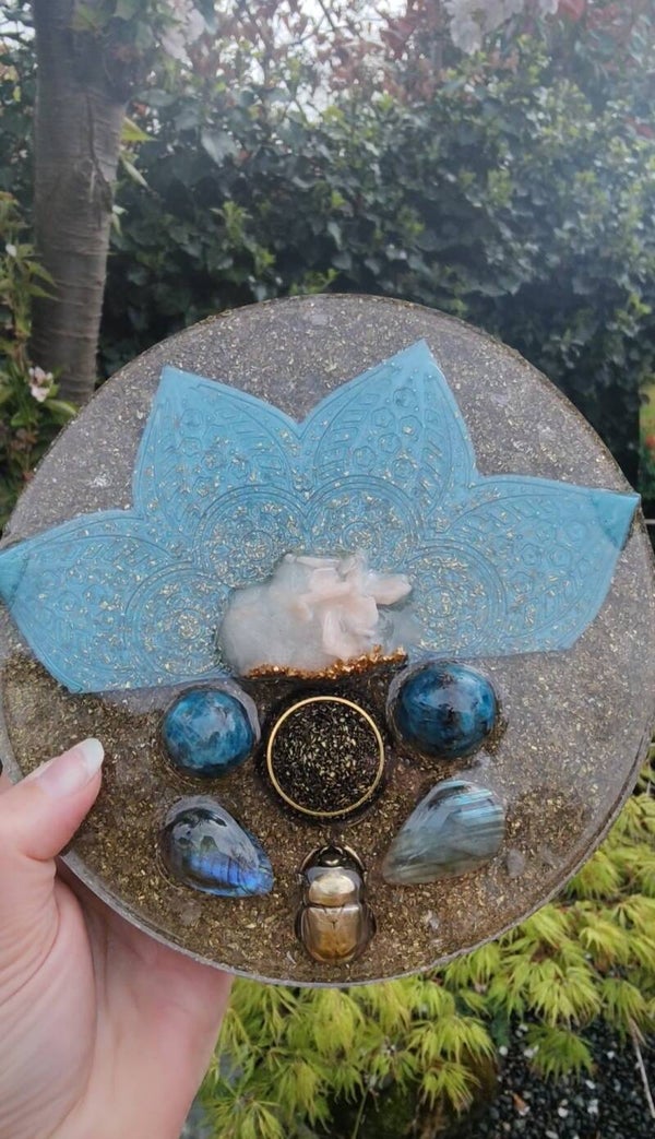 Oplaadschijf "Scarabee"