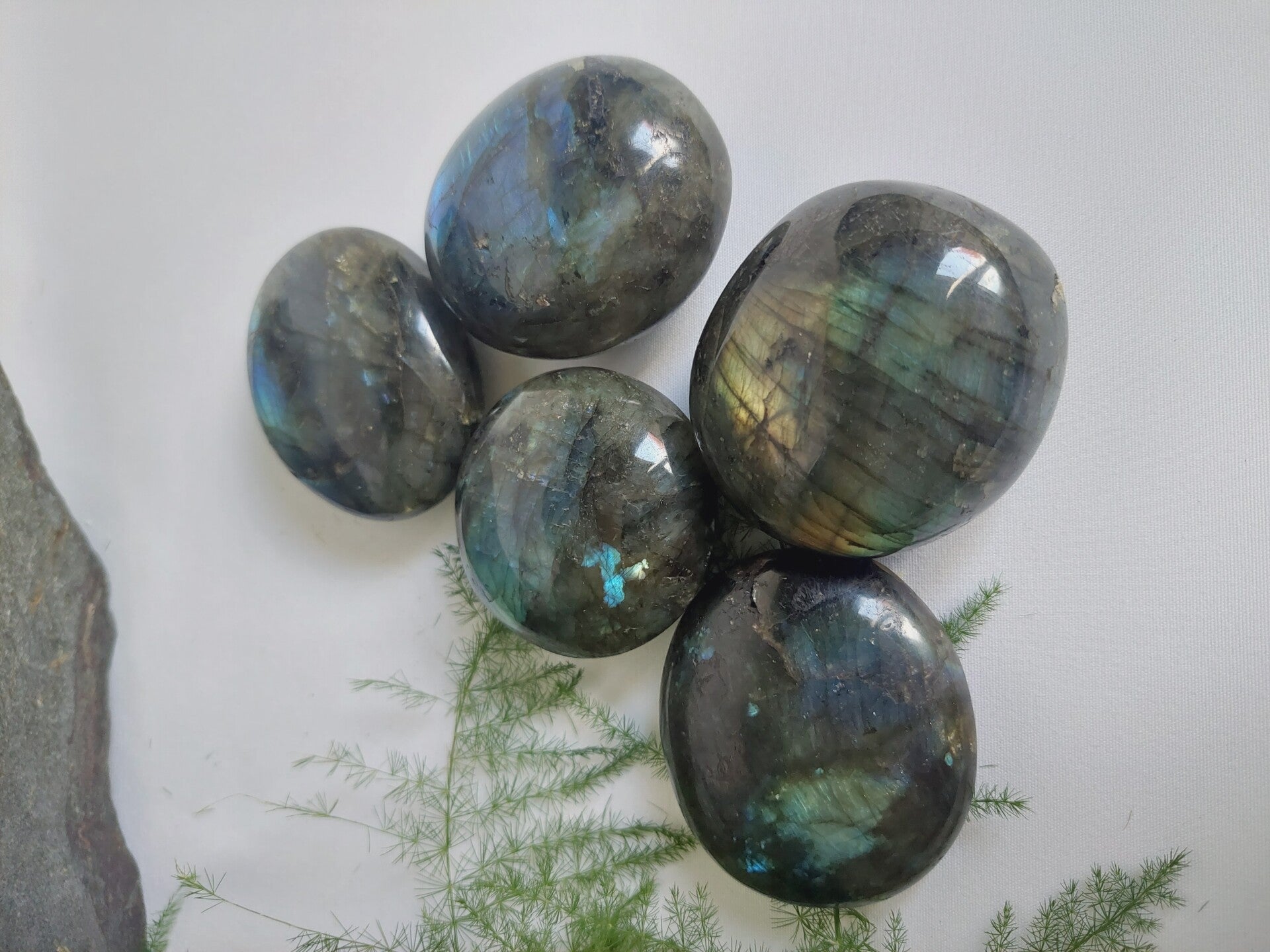 Labradoriet Jumbo edelstenen