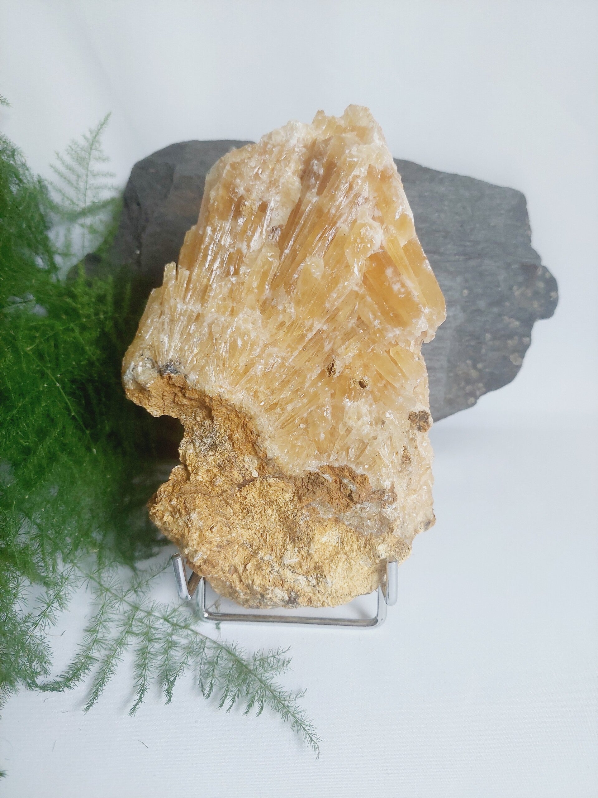 Calciet Honing op standaard