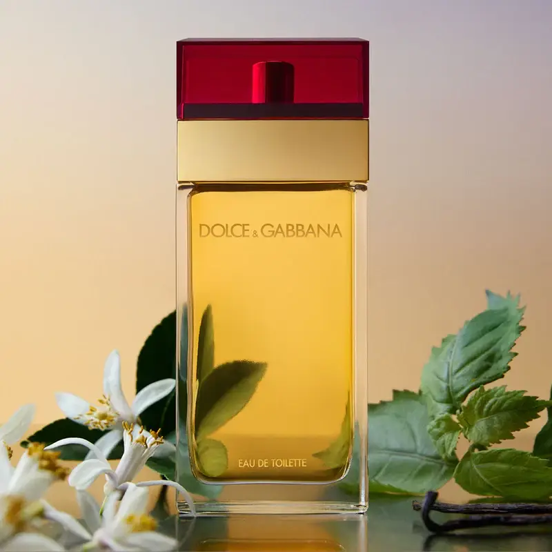 dolce-gabbana-pour-femme-edt-notes2_800x-standard.webp