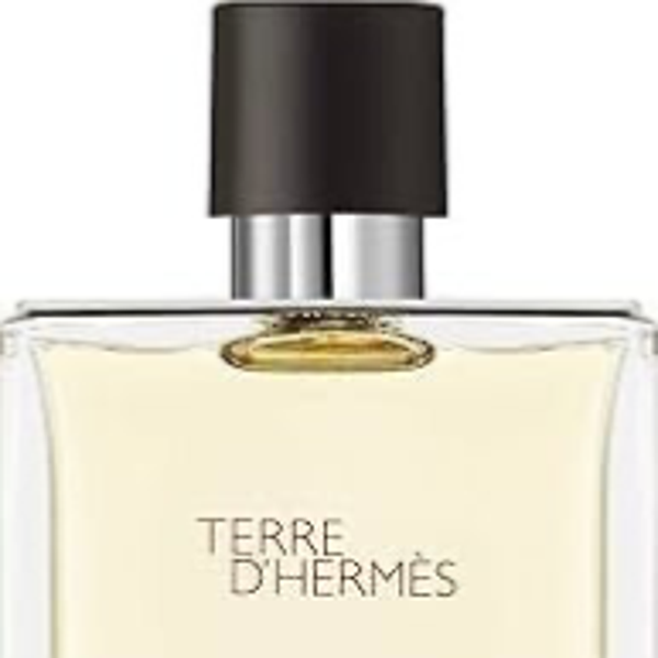 TERRE D'HERMES (M.) EDT SP 3.4oz