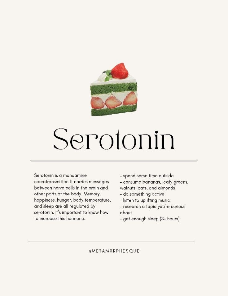 serotonin-all-creds-to-metam0rphesque-on-pinterest-standard.jpg