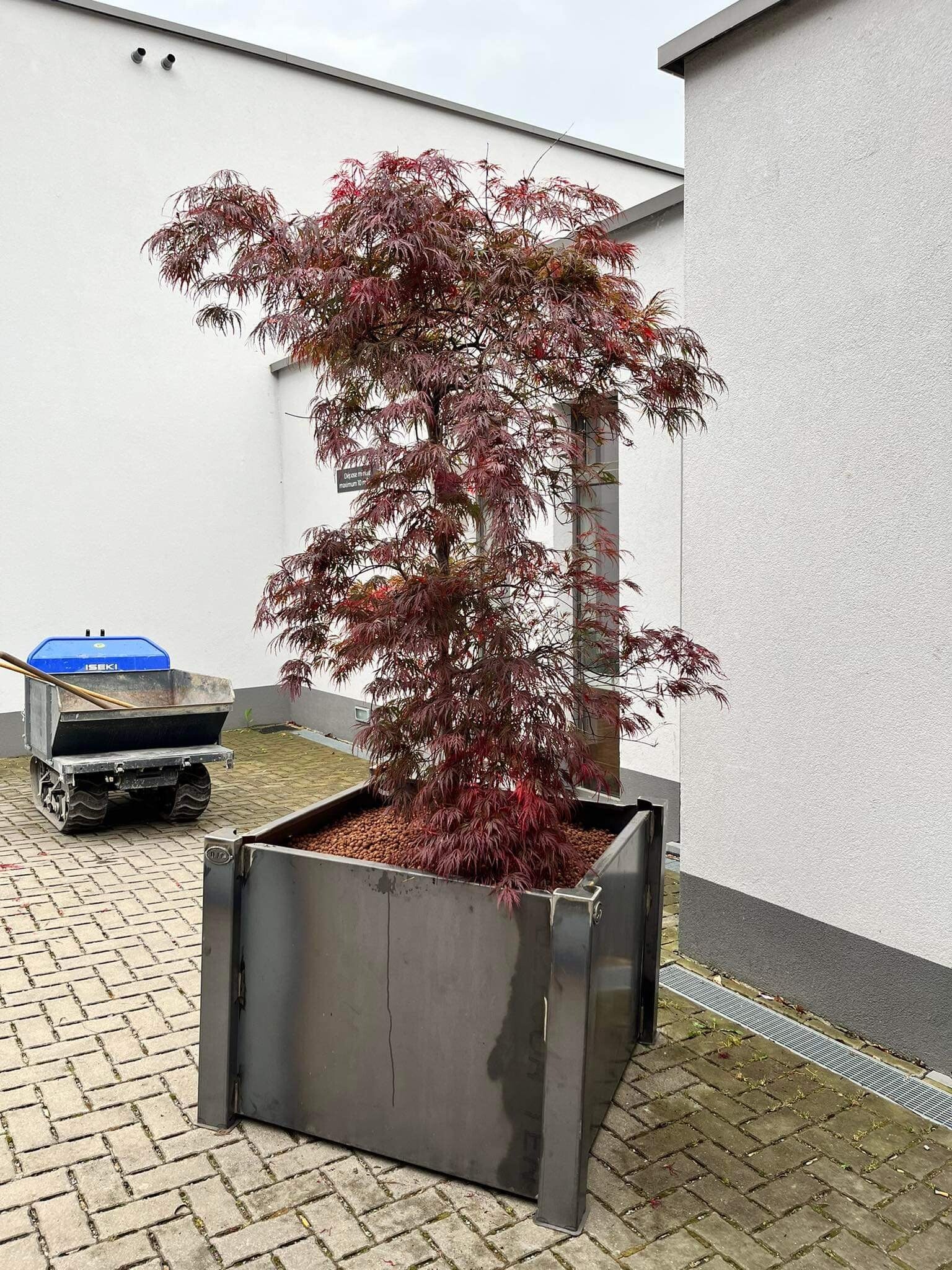 received_290253676656021-standard.jpg